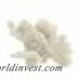 Highland Dunes Arline Coral Tabletop Decor Sculpture HLDS6970