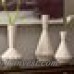 Madison Park Signature Lucia 3 Piece Table Vase Set BDIS1307