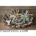 Highland Dunes Haubert Driftwood Decorative Bowl HIDN3356