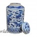 Sarreid Ltd Ceramic Jar RFD2391