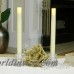 Pacific Accents Wax Flameless Tapers Candle EKT1017