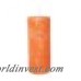 BIDKhome Pillar Candle BZV3655