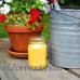 August Grove 3 Piece Citronella Scented Jar Candle Set AGTG3398