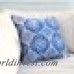Mistana Carlsbad Denim Outdoor Throw Pillow MTNA2599
